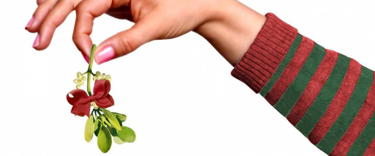 Hand holding mistletoe