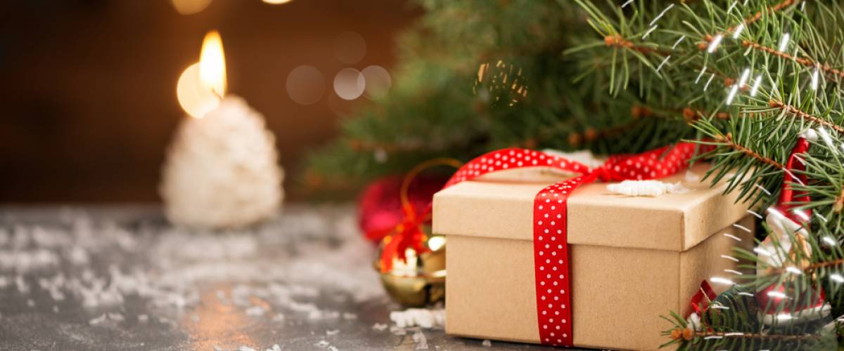 Brown box sitting under tree