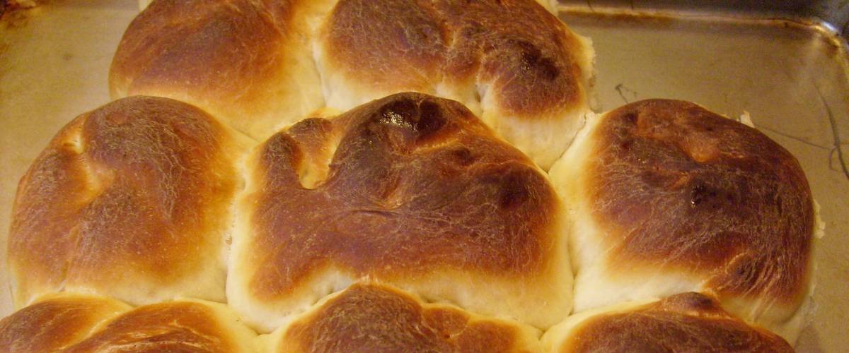 Dinner rolls