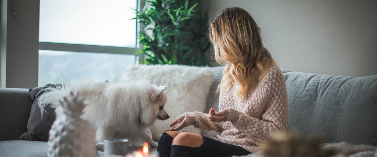 Woman sitting on sofa with pet cat