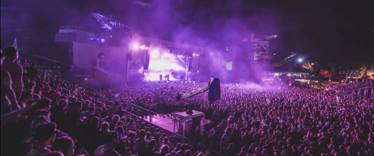 Group of people at a concert