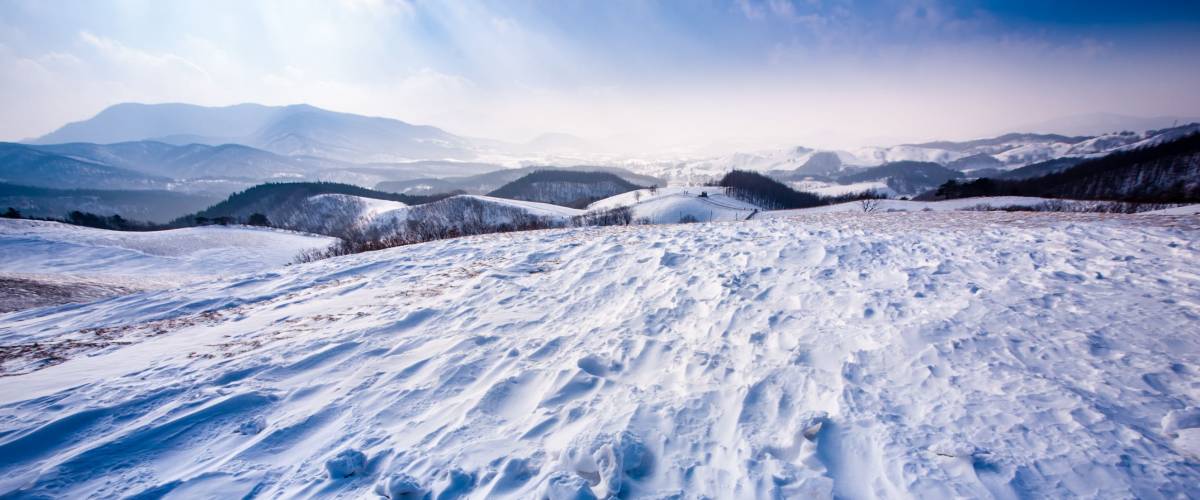 Pyeongchang, Gangwon-do, South Korea - Daegwallyeong Yangtte Farm with heavy snowfall.