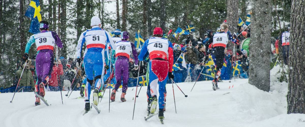 Professional competition in nordic ski - world cup in north of Europe - Concept image for winter olympic games 2018 in Pyeongchang - South Korea