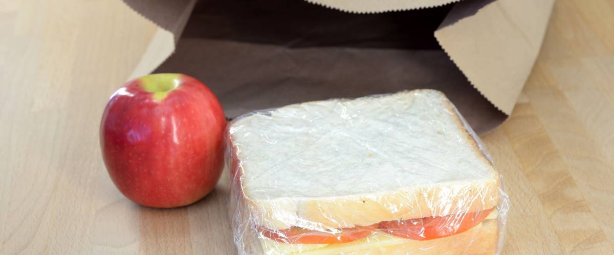 A close up shot of a conceptual packed lunch