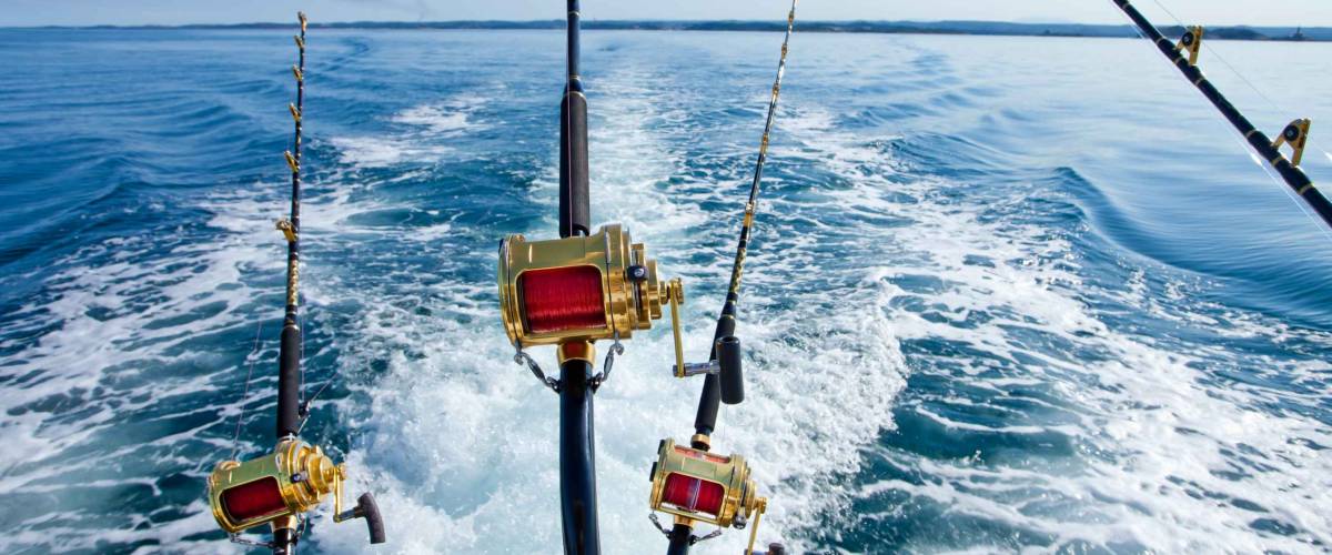 big game fishing reel in natural setting
