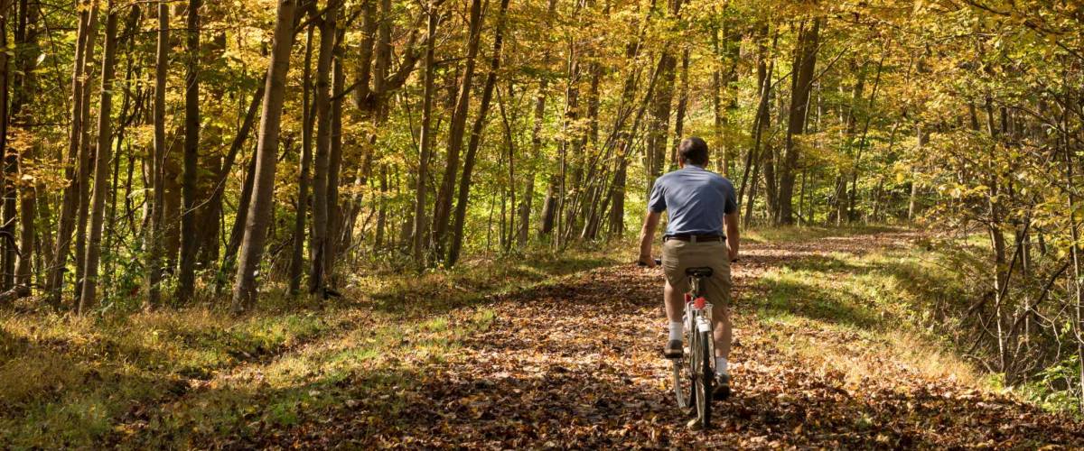 Senior adult caucasian man cycling away down a leaf covered Deckers Creek Rail trail near Morgantown in West Virginia