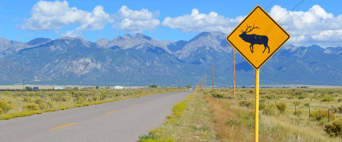 Elk/Deer Sign along Road