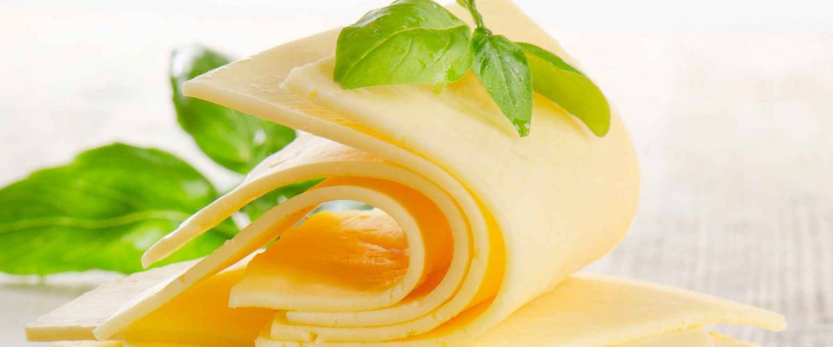 Slices of cheese with fresh herbs. Selective focus