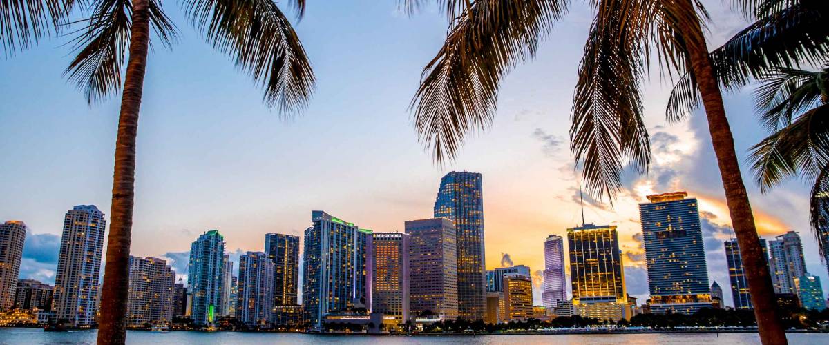 Miami, Florida skyline and bay at sunset seen through palm trees