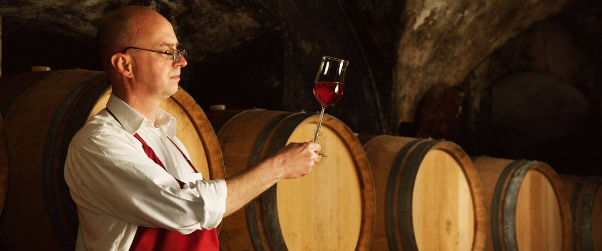Winemaker tasting his harvest in vine cellar