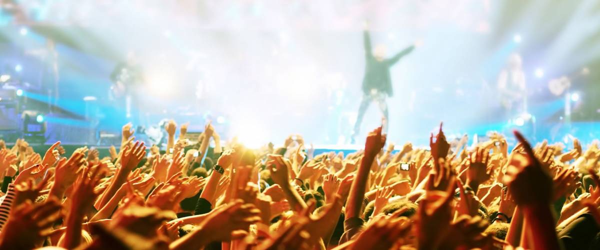 Crowd at concert