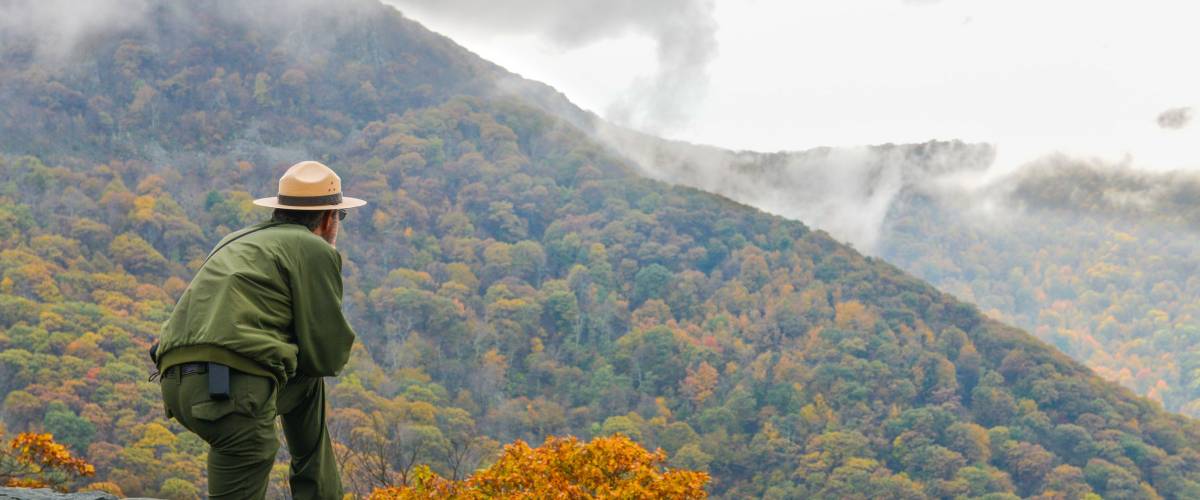 Shenandoah National Park in Autumn foliage, Virginia USA