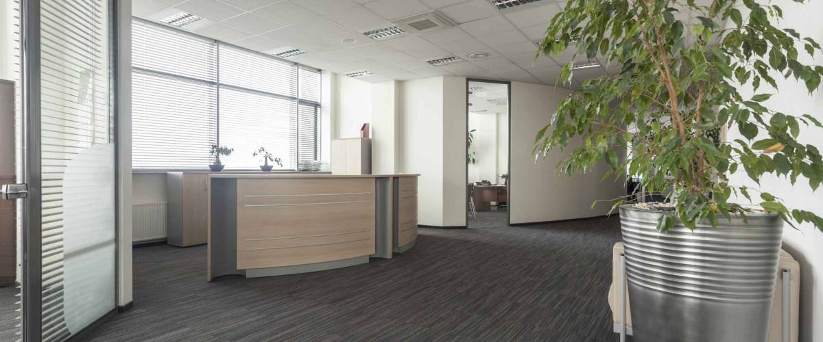 Interior of contemporary office, hall and reception