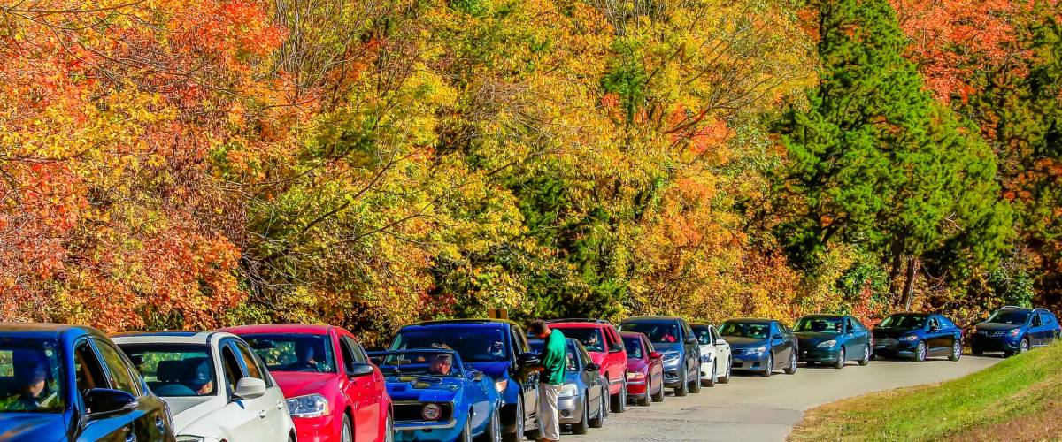 Long line of cars parked along the road in autumn