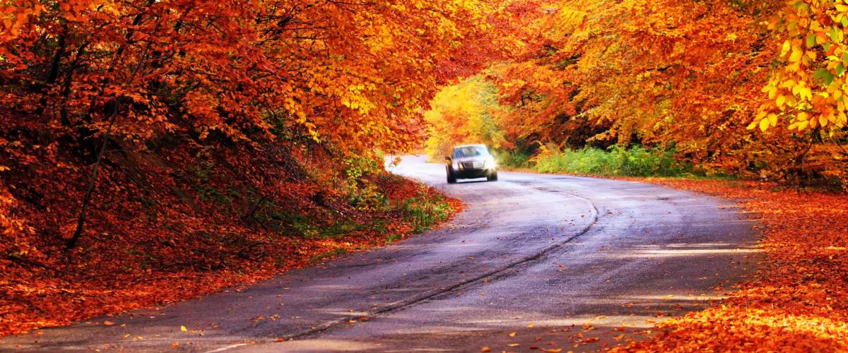 red autumn sunny road with blurred car