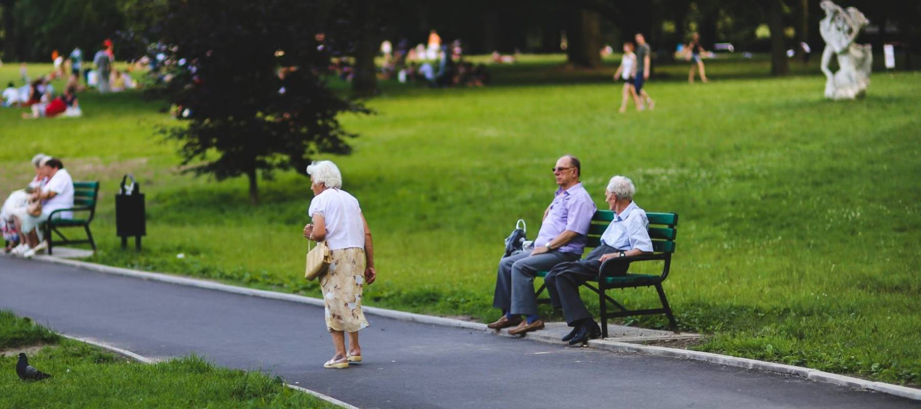 Seniors in the park