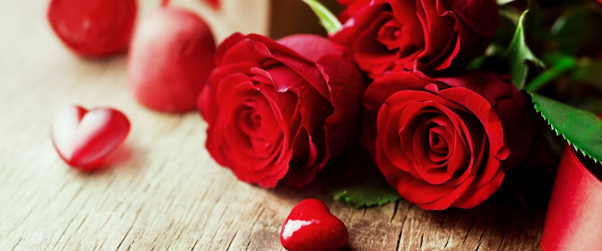 Roses and a hearts on wooden board, Valentines Day background, wedding day