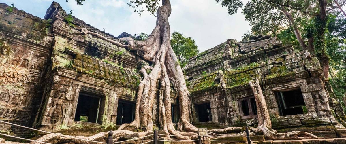 Classical picture of Ta Prohm Temple, Angkor, Cambodia