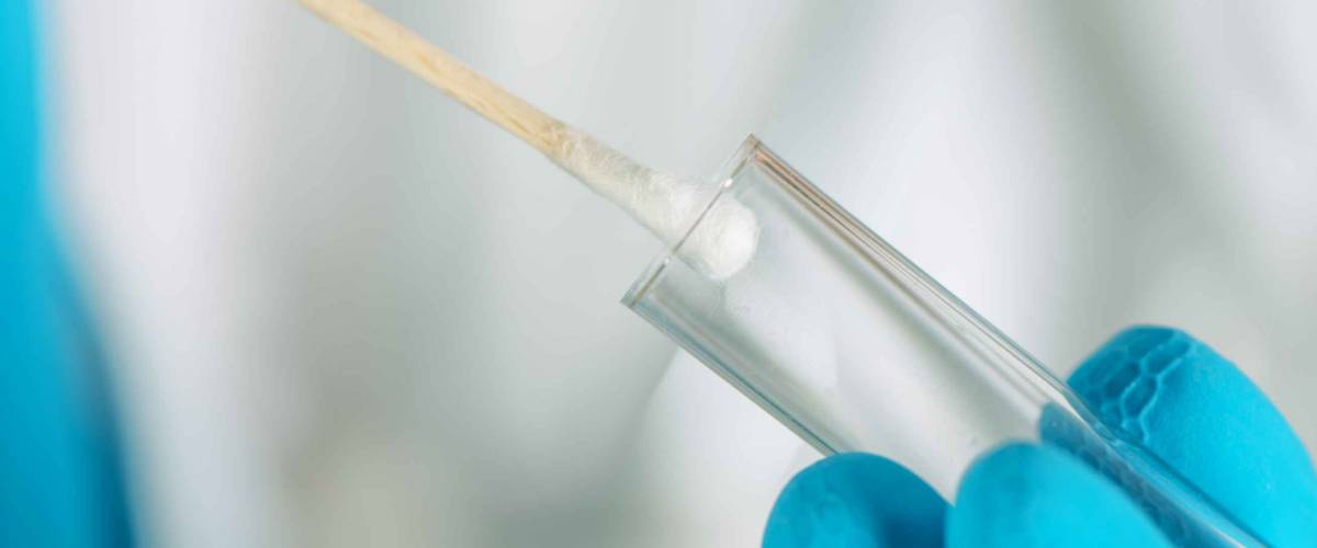 Cotton swab and DNA test tube