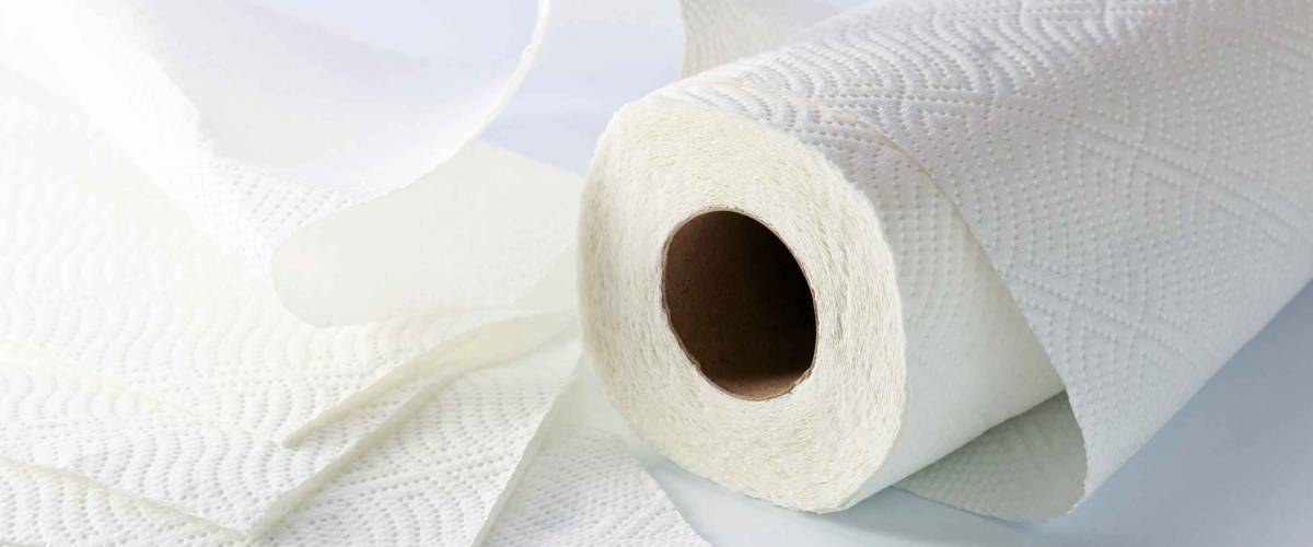 White paper towel on a white reflective background.