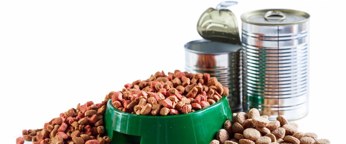 dry dog food isolated on white background