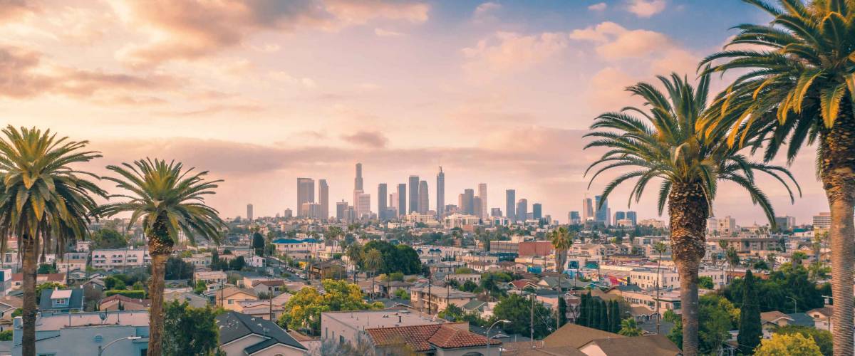 Beautiful sunset of Los Angeles downtown skyline and palm trees