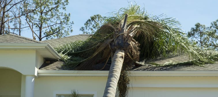 A palm tree falls onto a house roof.