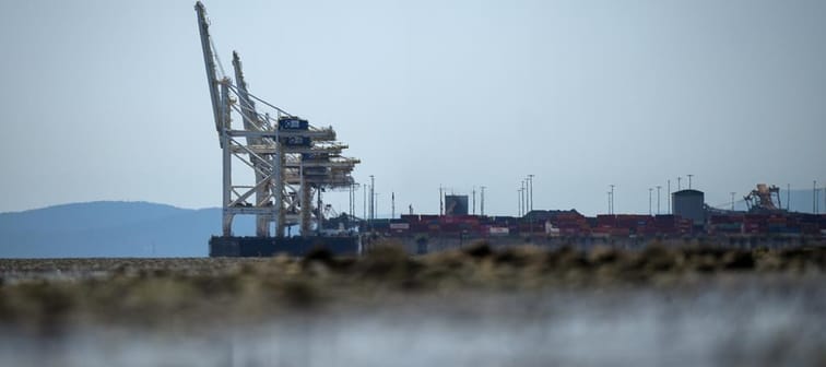 Gantry cranes used to load and unload cargo containers from ships sit idle at Global Container Terminals at Deltaport, in Delta, B.C., Friday, July 7, 2023. 