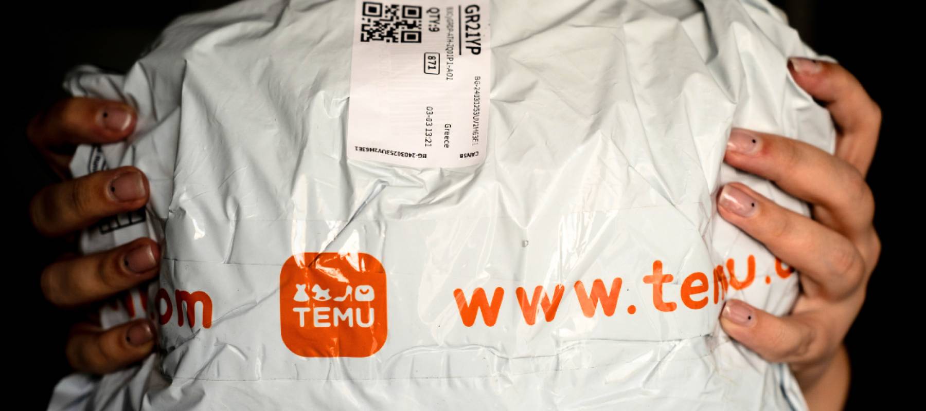 A person is holding a package from Temu.