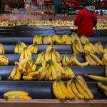 Customer shopping for bananas.