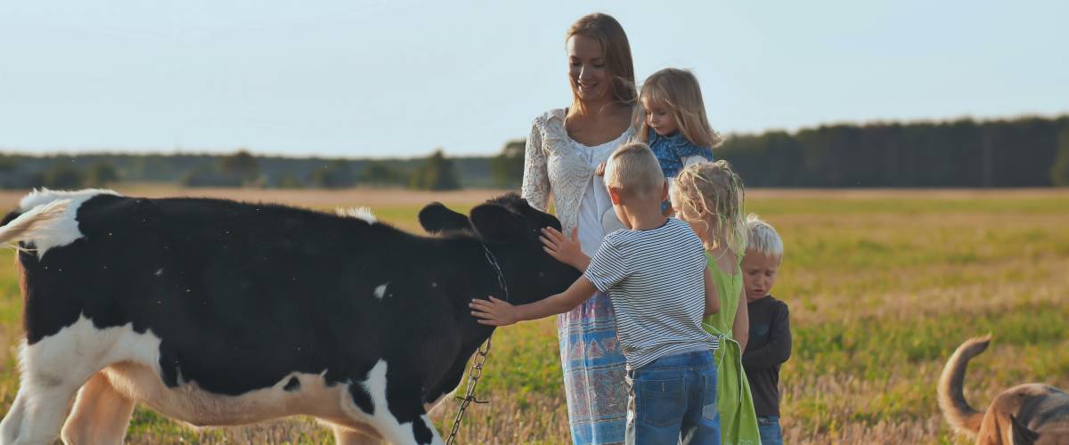 Mother and kids petting a cow