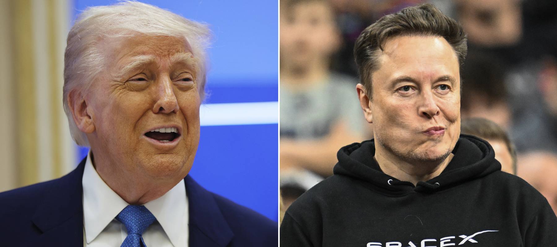 President Donald Trump (left) and DOGE chief Elon Musk.