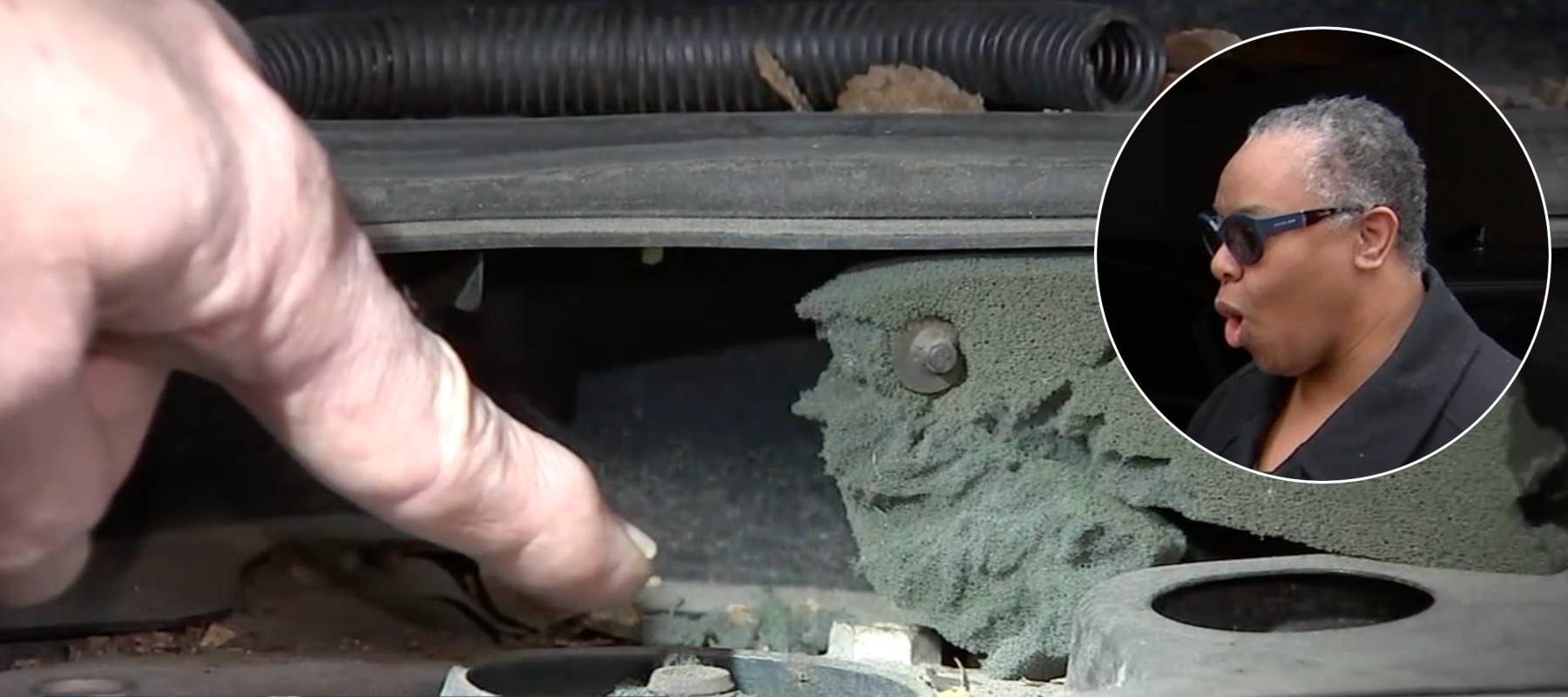 Rodent infestations are causing serious damage to cars across Chicago.