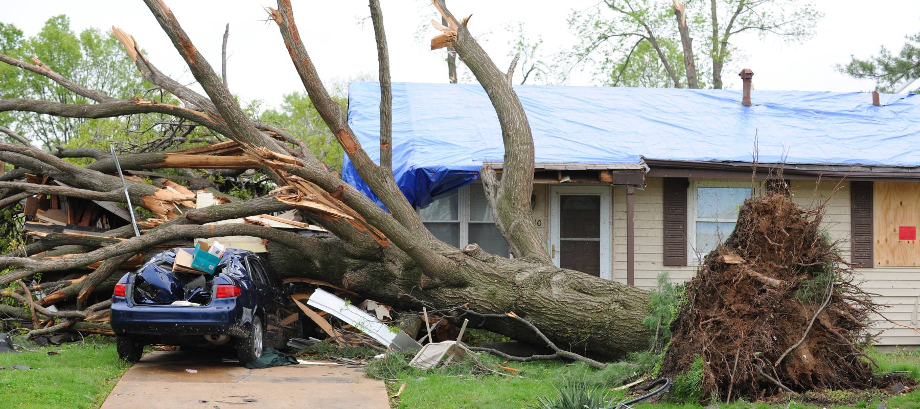 Tree falls onto a car after a storm