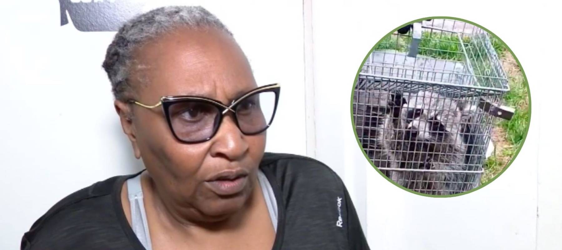 Woman freaked out about raccoon