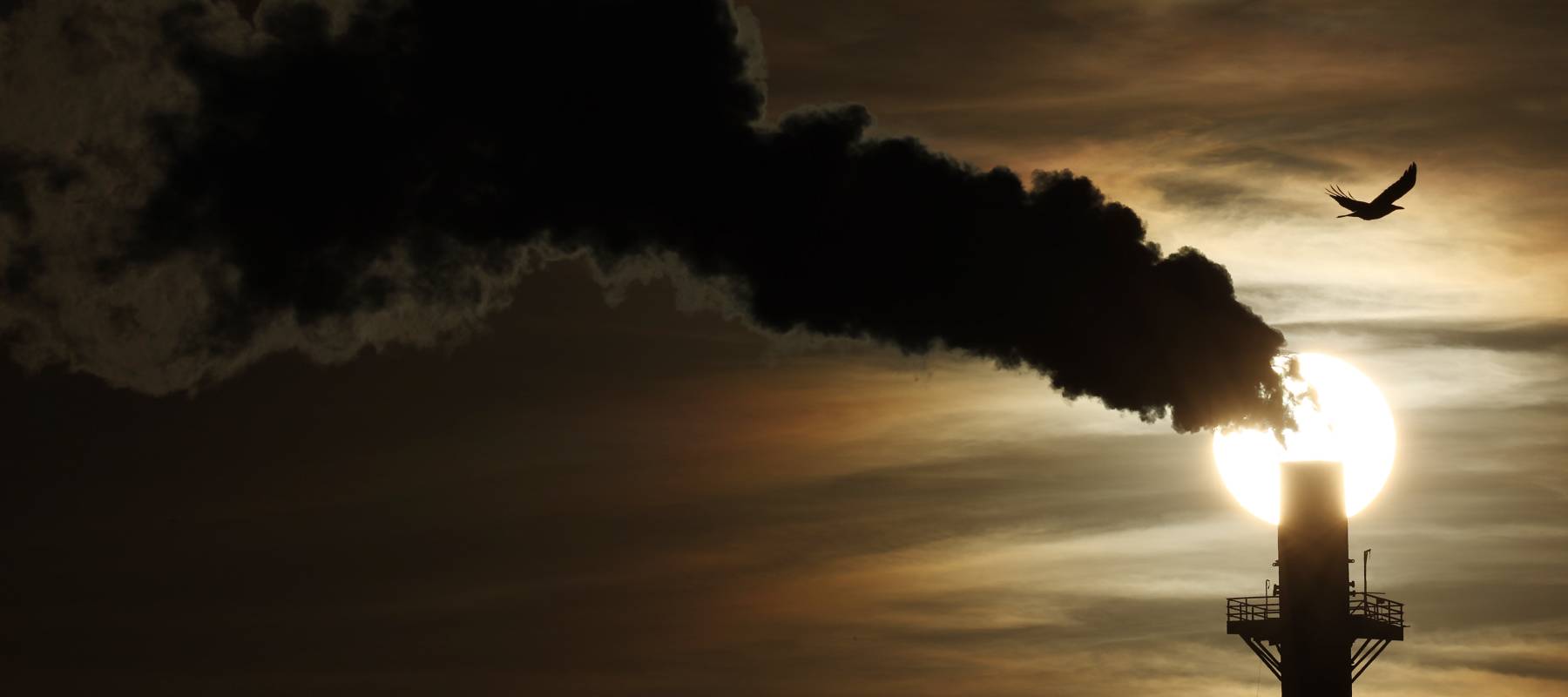 The sun sets beyond a Phillips 66 refinery plant in Wilmington, California, Nov. 19, 2024.