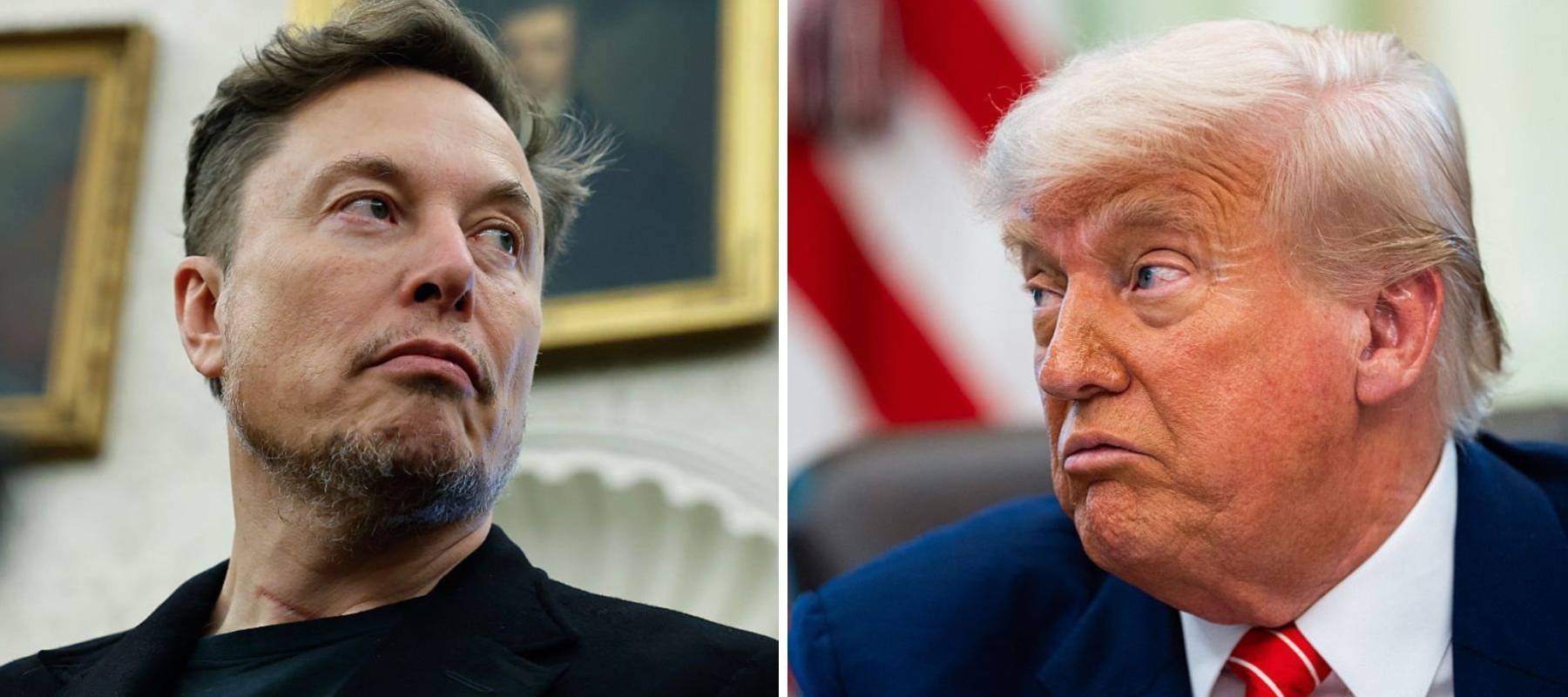 Elon Musk and Donald Trump