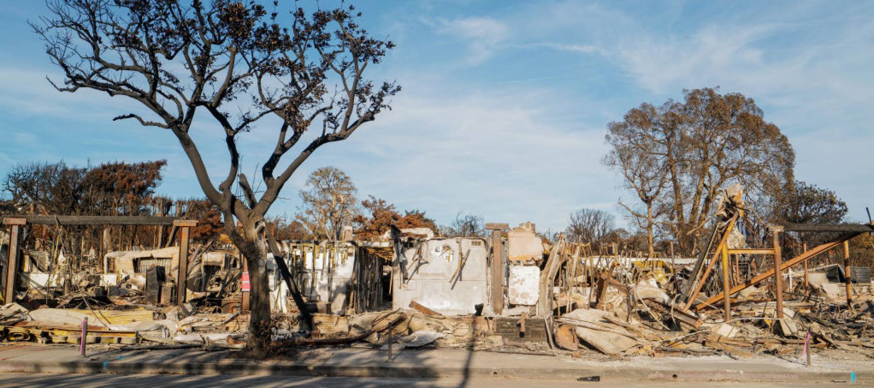 Burnt out homes in Pacific Palisades, California.