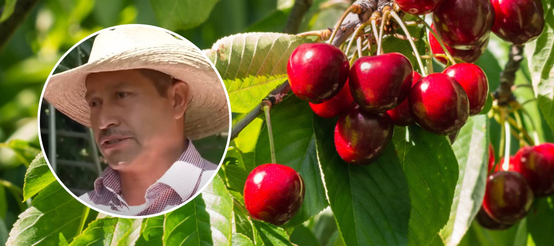 FOX 13 Seattle/YouTube, patjo/Shutterstock