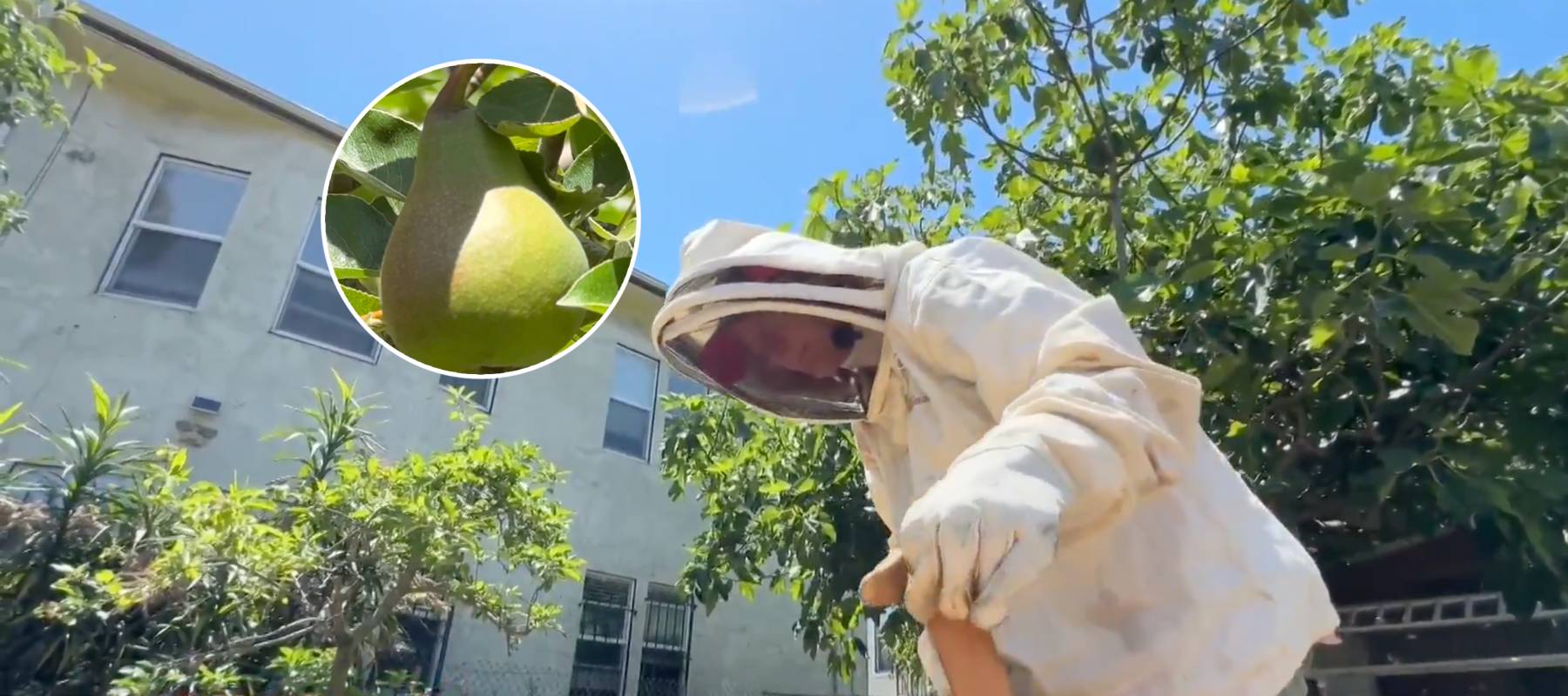 As grocery prices climb and uncertainty grows, some Oakland residents are planting orchards and raising bees in the city.