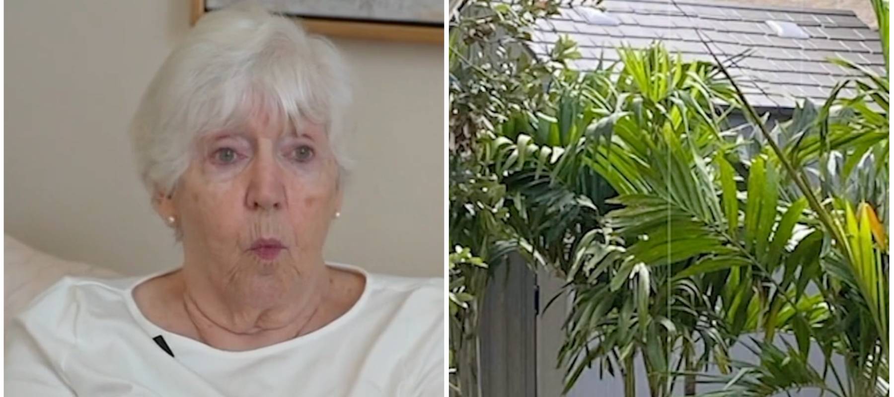 Stonebriar community at odds over shed.