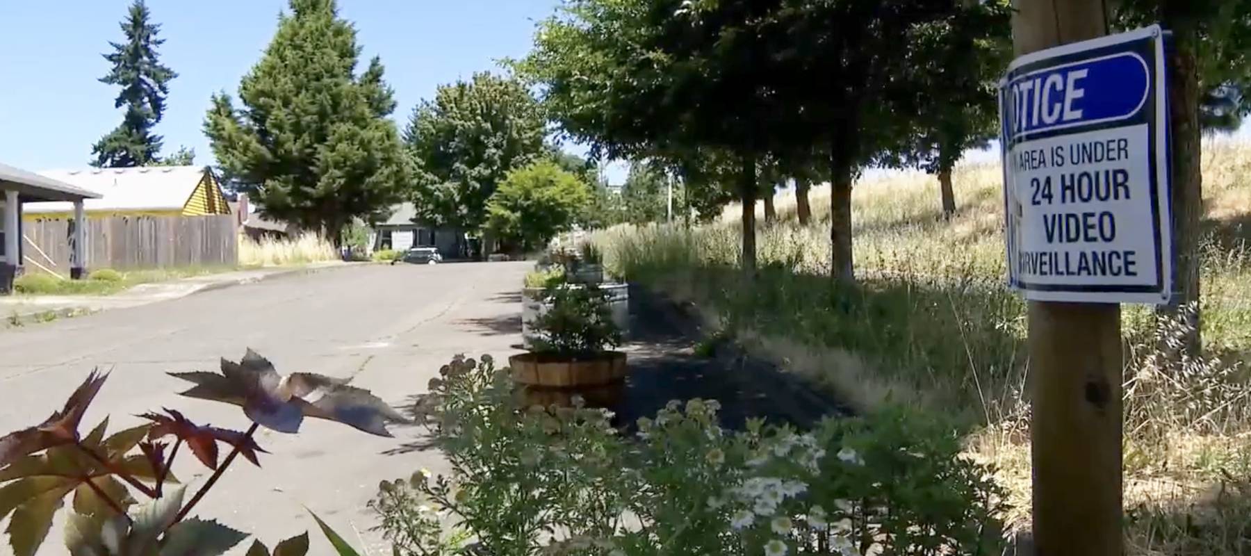 Residents of this Portland street have installed flower beds to deter criminal activity.
