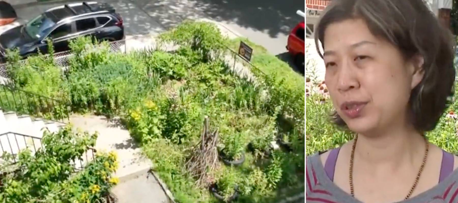 Woman tells CB News about her garden and the rift its created with her town.