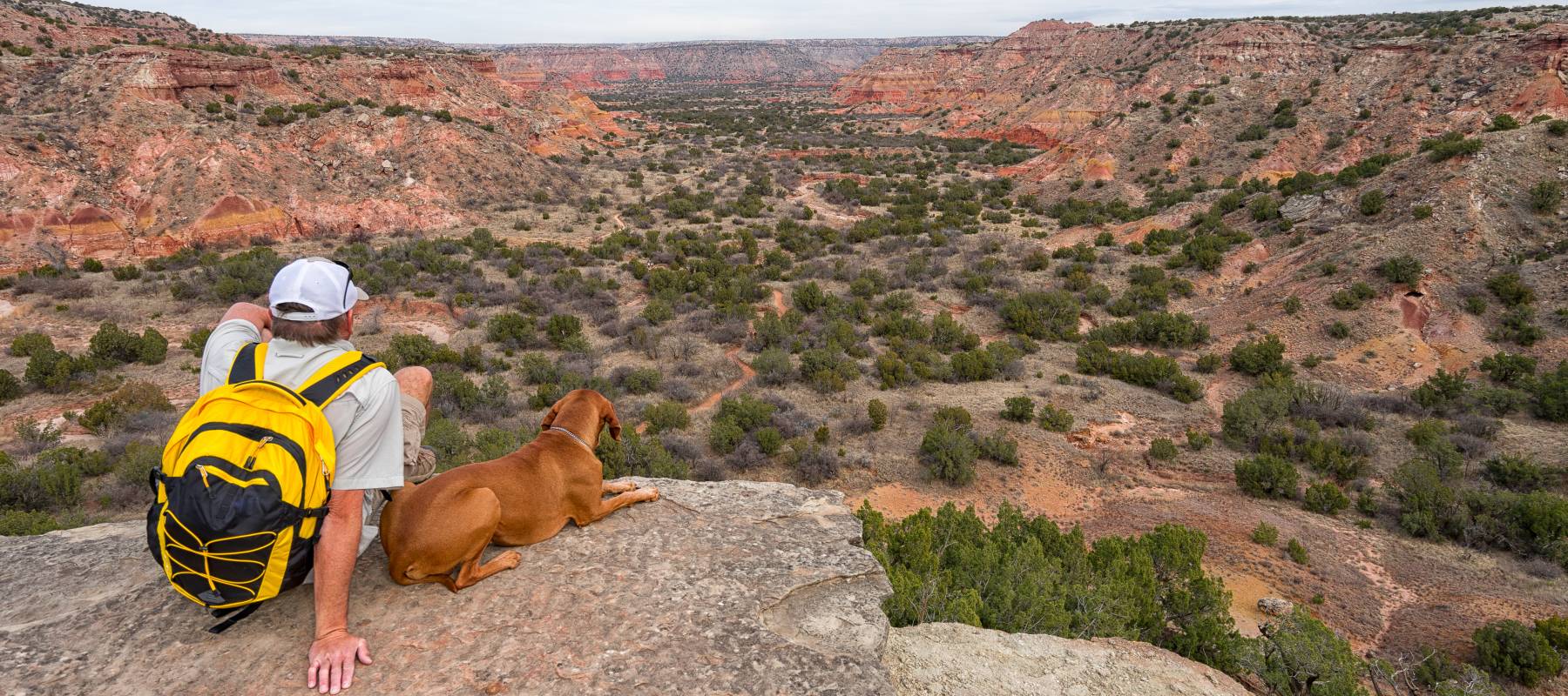 Man and dog sitting on a rock face.