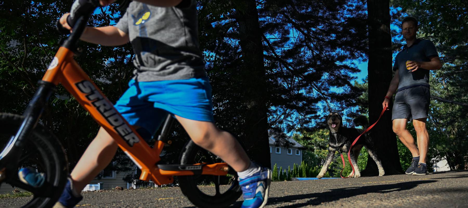 Child rides a bike, followed by dog and dad.