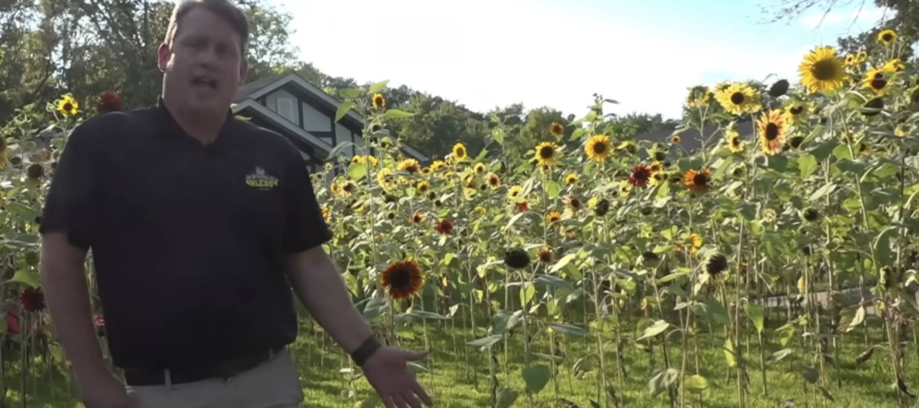 Chis Bank of St. Peters, Missouri