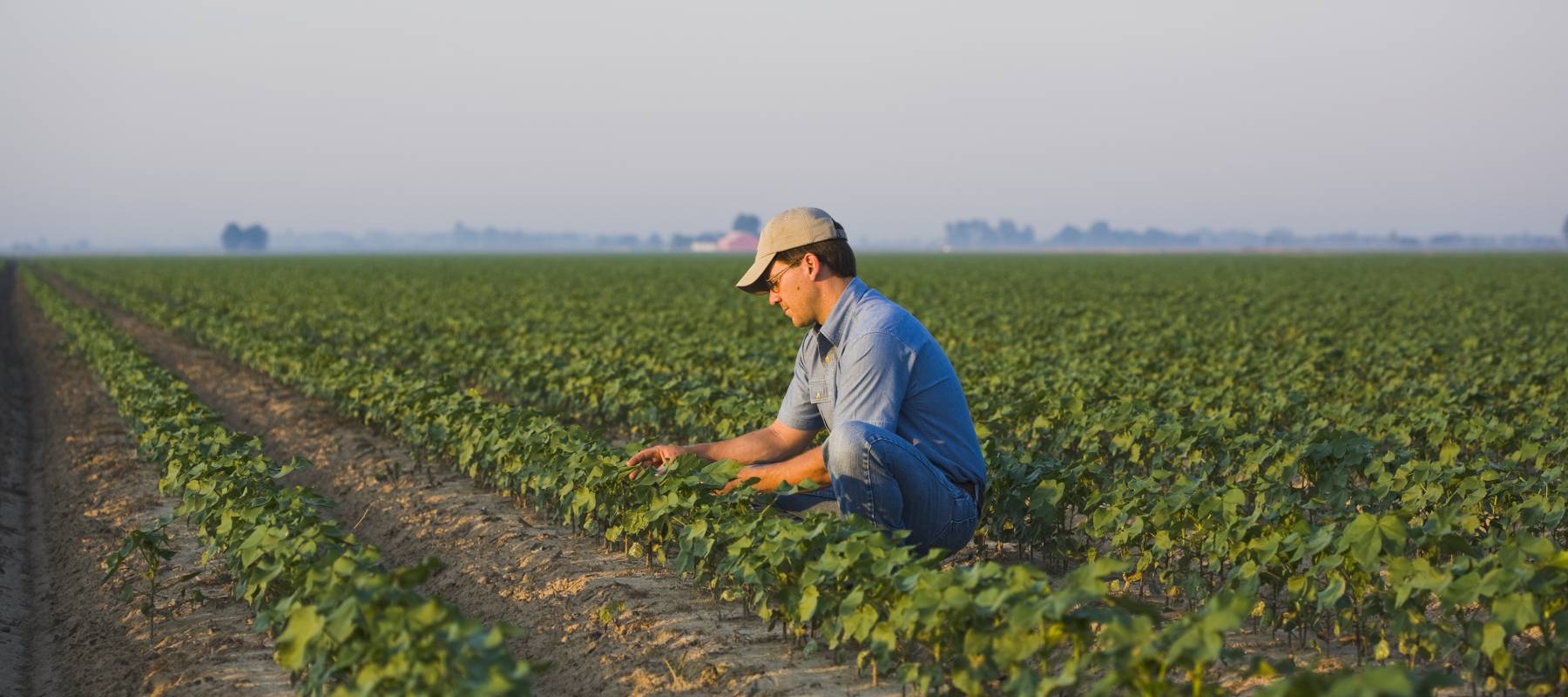 Arkansas farmer