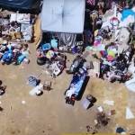 LA Homeless Encampment