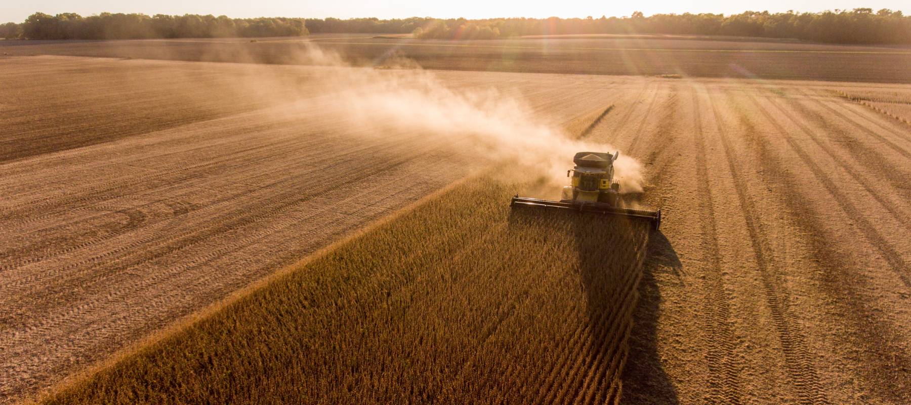 Soybean harvester works through crop that will likely never be purchased.