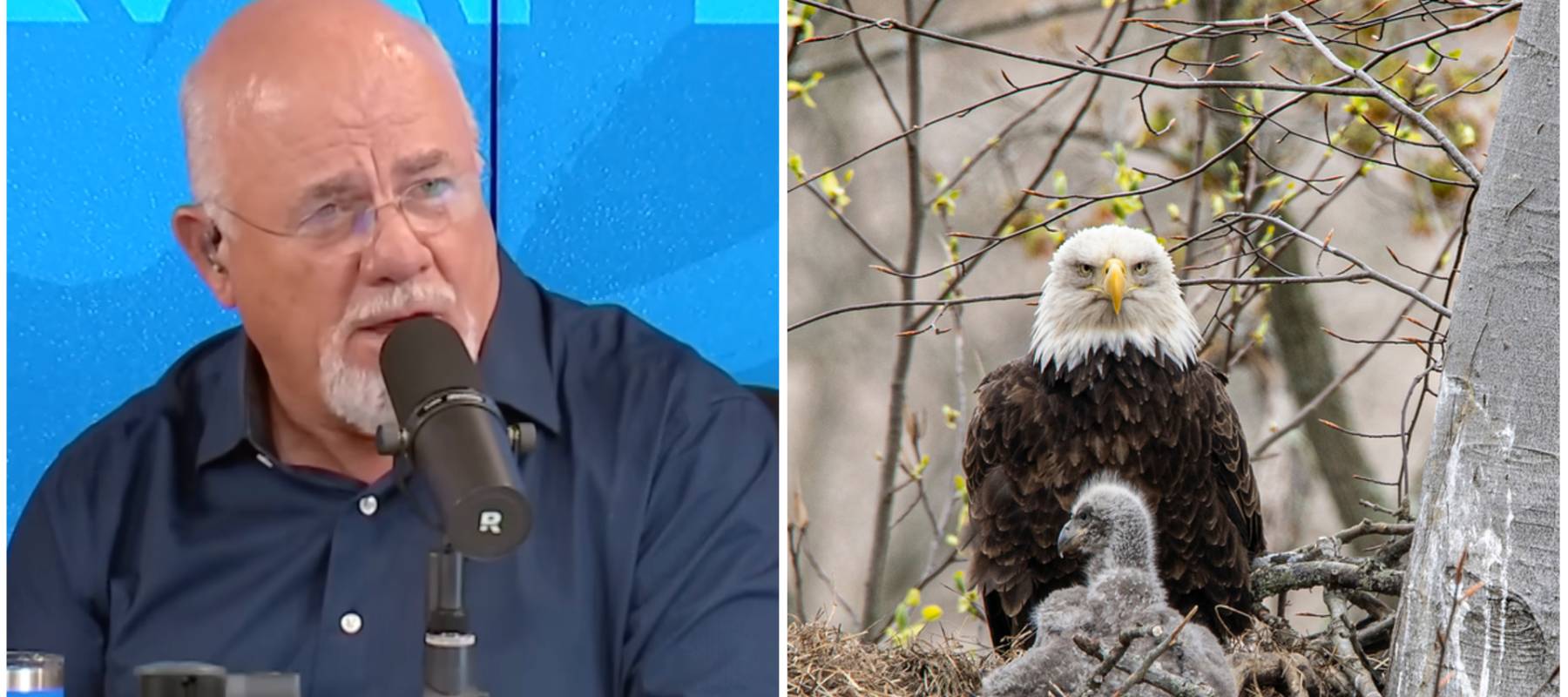 Dave Ramsey collage with eagle and nest.